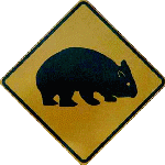 [ wombats ! ]