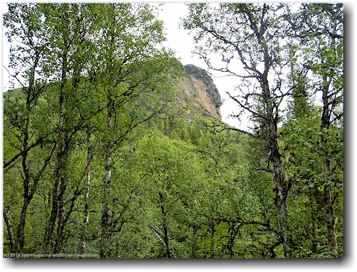 blick auf den suljaetten