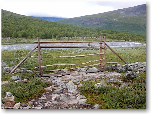 rentierzaun im tal des kaitumjakka