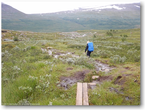 sumpfiger abschnitt entlang des kungsleden zwischen den kaitumjaurestugorna und dem teusajaure