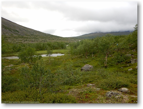 sumpfgebiet entlang des kungsleden suedwestlich der kaitumjaurestugorna