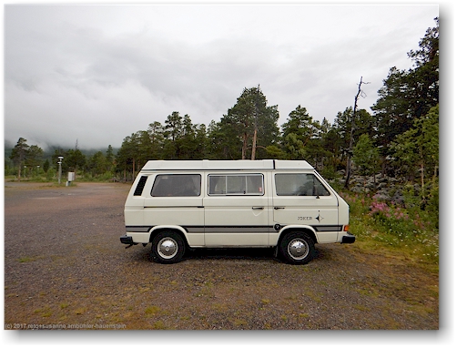 unser joker auf dem campingplatz im stora sjoefallets nationalpark