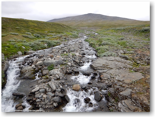 blick auf den guolbbanjahka entlang des kungsleden zwischen teusajaure und vakkotavare