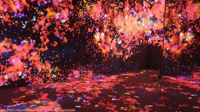 teamLab Borderless in azabudai hills, tokyo