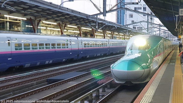 shinkansen im bahnhof utsunomiya