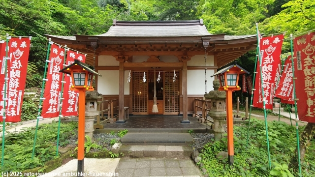 sasuke inari schrein in kamakura