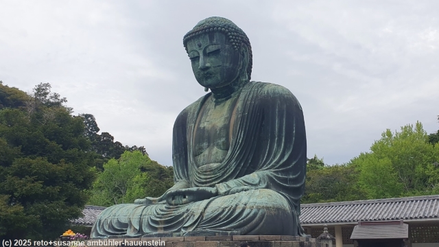 daibutsu - auch als great buddha of kamakura bekannt