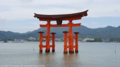 great torii gate an der kueste der insel miyajima bei flut