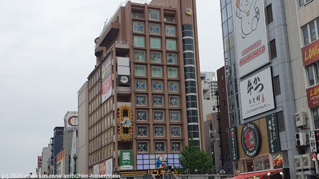 stadtviertel dotonbori  in osaka