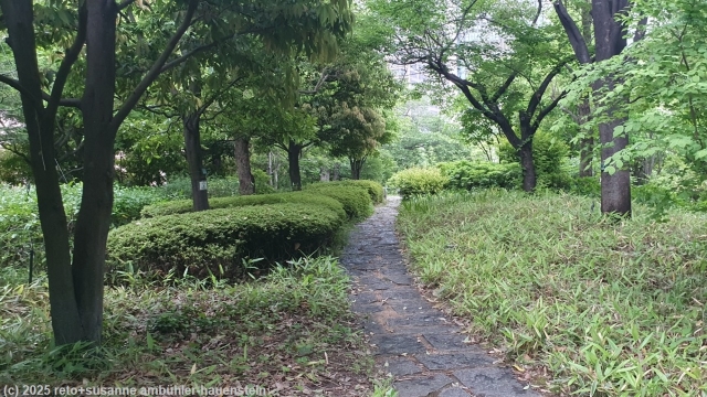 shin satoyama park in osaka
