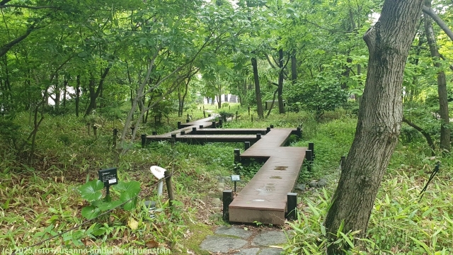 shin satoyama park in osaka