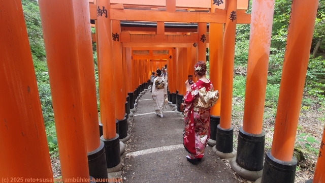 frauen in kimono in den senbon torii beim fushimi inari schrein in kyoto
