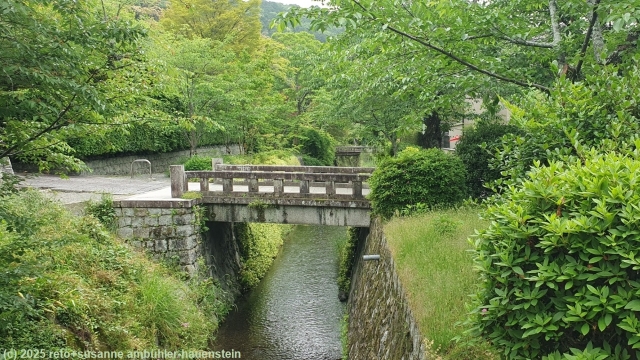 philosopher's walk in kyoto