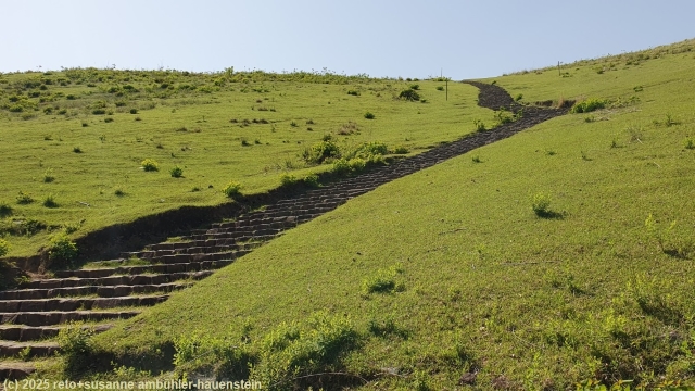 treppe vom huegel im nara park zum kasuga taisha hinunter