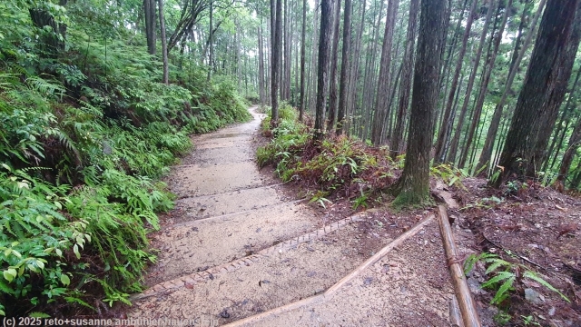 wanderweg mit stufen im verlauf des kumano kodo