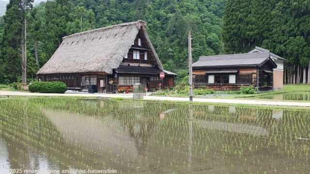 gebaeude mit reisfeld im suganuma village bei gokayama