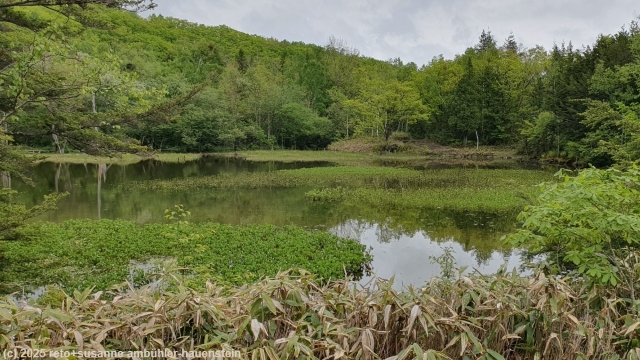 azami pond in norikura