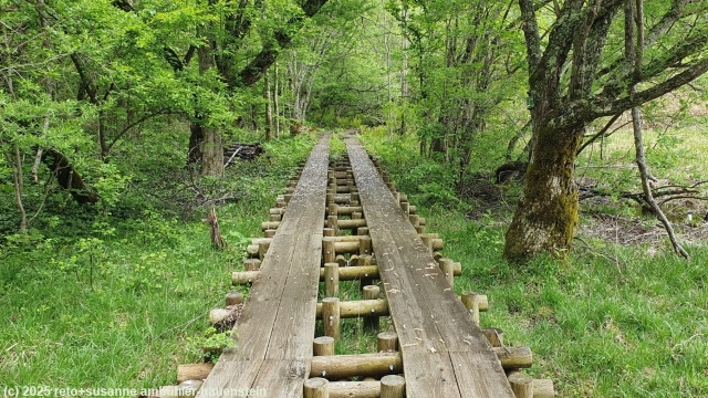 wandersteg im verlauf des azami pond trail in norikura