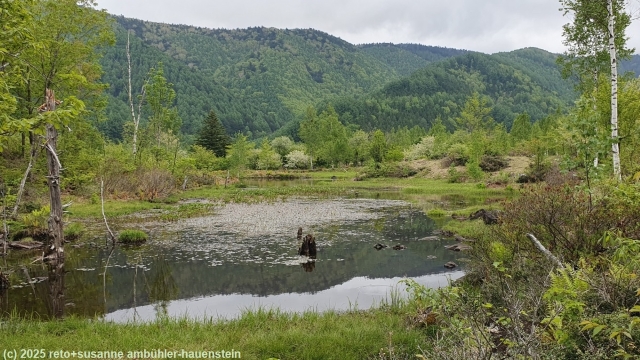 osome pond in norikura