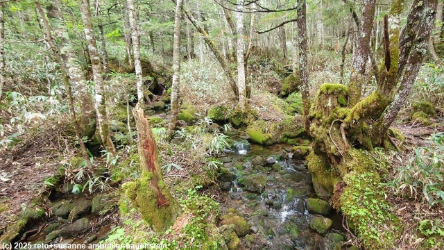 bach am kamoshikanomichi in norikura
