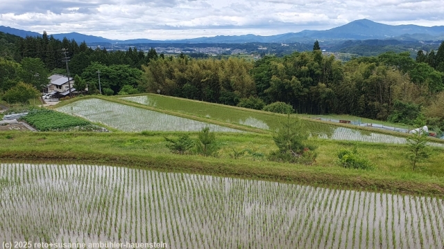 blick ueber reisfelder vom nakasendo zurueck richtung nakatsugawa