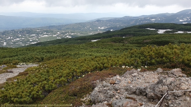 ausblick vom sugatami trail