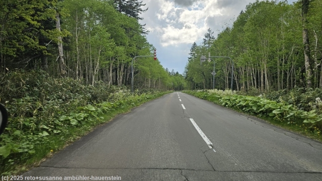 markierungen ueber der strasse 1160