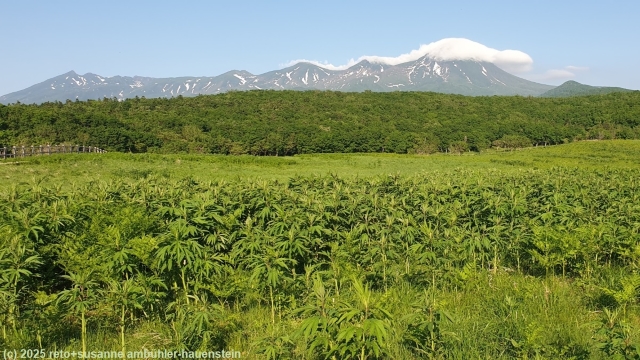 blick vom furepe-no-taki trail auf das shiretoko gebirge