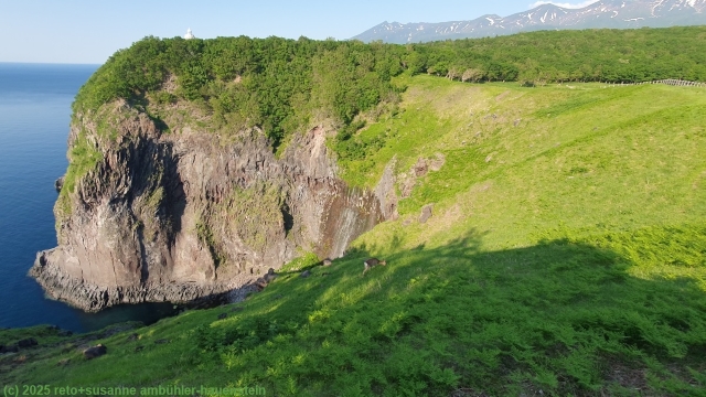 blick vom furepe waterfall lookout auf den wasserfall im shiretoko nationalpark