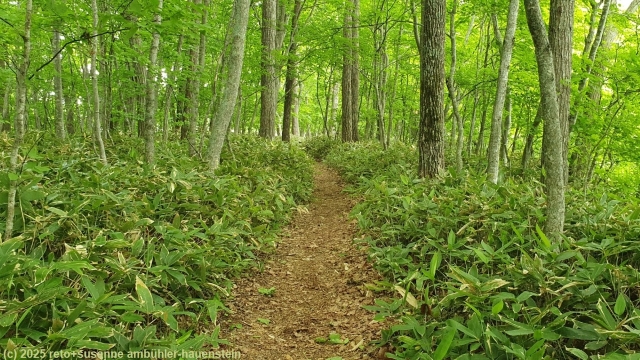 wakoto nature trail im akan-mashu nationalpark