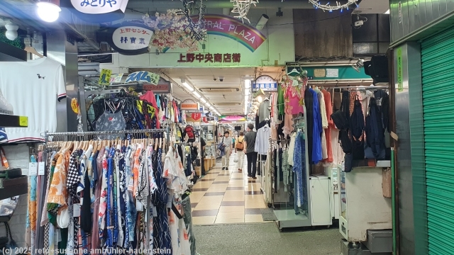 laeden unter den erhoehten bahngleisen in tokyo