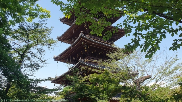 fuenfstoeckige pagode kan'ei-ji im ueno park in tokyo
