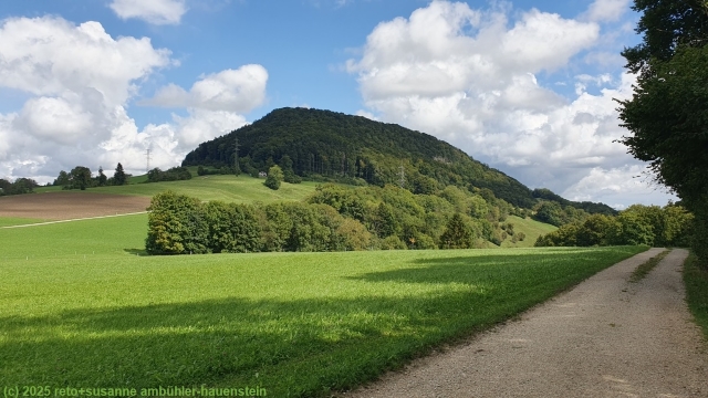 blick zurueck auf die geissflue