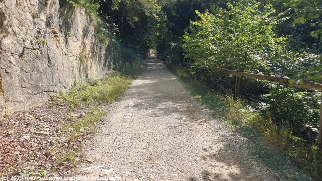 waldstrasse richtung belchenflue