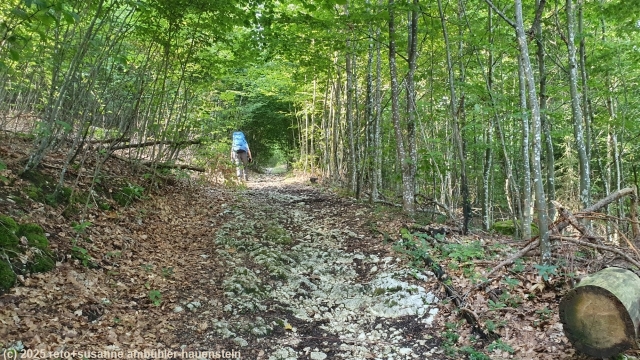 steiler und steiniger aufstieg richtung schwengimatt