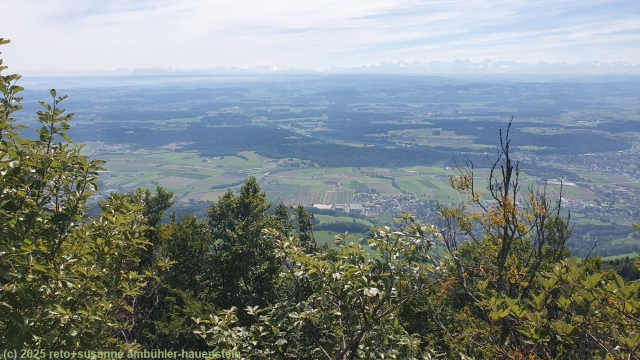 fantastisches alpenpanorama vom gipfel des haellchoepfli