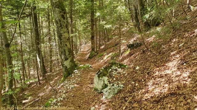 pfad mit gelegentlichem steinschlag unterhalb des haellchoepfli