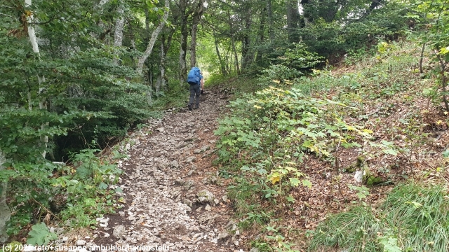 aufstieg richtung hasenmatt