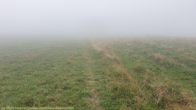 wanderweg entlang der wandflue bei dichtem nebel