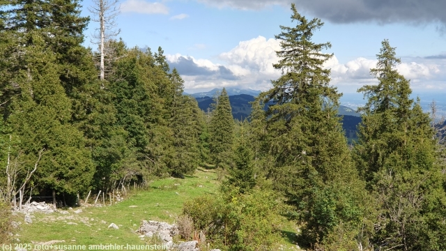 blick zurueck richtung weissenstein waehrend dem aufstieg zum chasseral