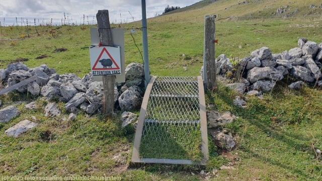 eingang zu einer yaks-weide auf dem weg zum gipfel des mont racine
