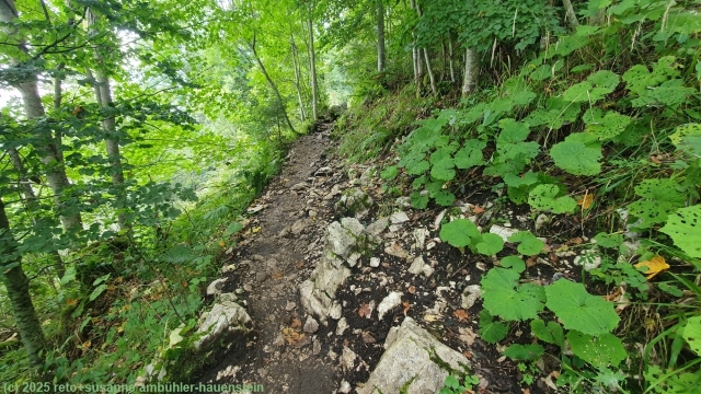 steiler aufstieg ueber den sentier de 14 contours