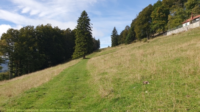 aufstieg ueber offenes gelaende zum dent de vaulion