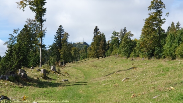 aufstieg ueber offenes gelaende zum dent de vaulion