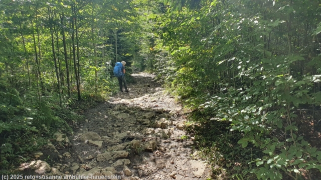holpriger abstieg vom dent de vaulion richtung petra felix
