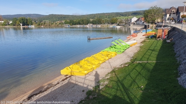 noerdliches ufer des lac de joux bei le pont