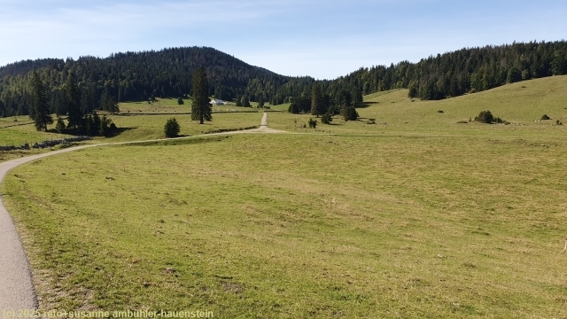 wanderweg bei pre de l'haut dessous