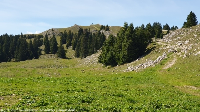 aufstieg richtung gipfel des mont tendre