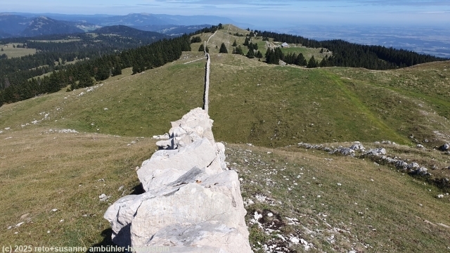 trockensteinmauer auf dem gipfel des mont tendre