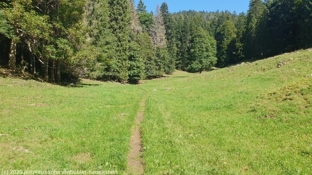 schoener wanderweg richtung les frasses